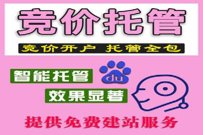 百度竞价广告运营成功案例：如何制定预算